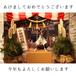 イッタラの2019-福袋1