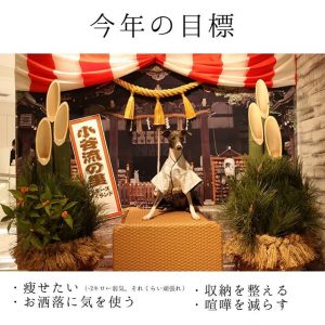 イッタラの2019福袋6