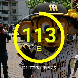 阪神タイガースの2021-福袋1