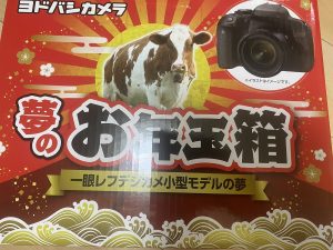 ヨドバシカメラの2021-福袋1
